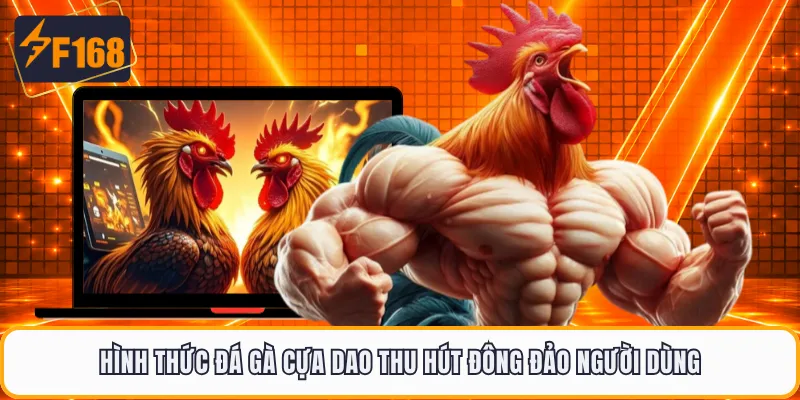 Hình thức đá gà cựa dao thu hút đông đảo người dùng