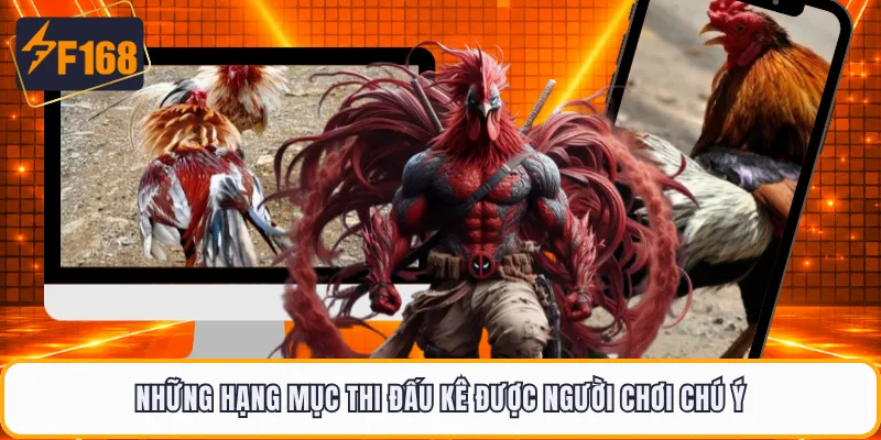 Những hạng mục thi đấu kê được người chơi chú ý